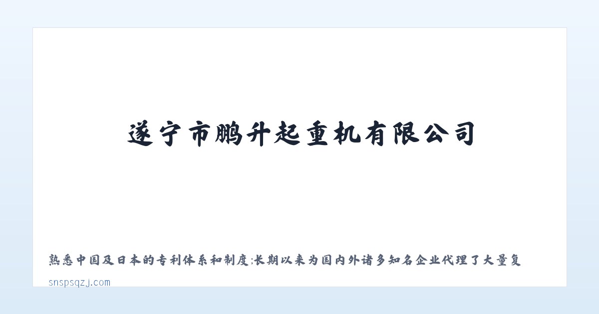 遂宁市鹏升起重机有限公司 主图